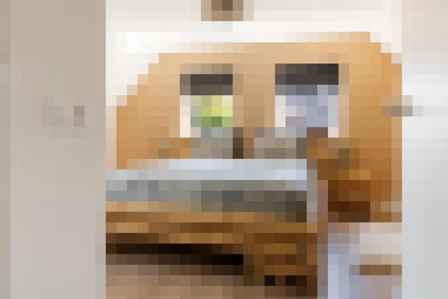 Sportveldstraat 77 Beusichem thumbnail 65