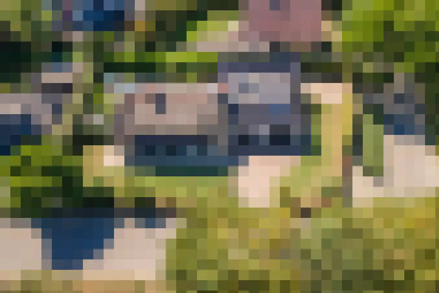 Sportveldstraat 77 Beusichem thumbnail 75