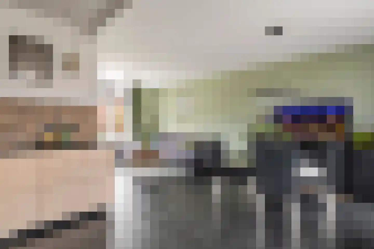 Sportveldstraat 8 Beusichem thumbnail 13