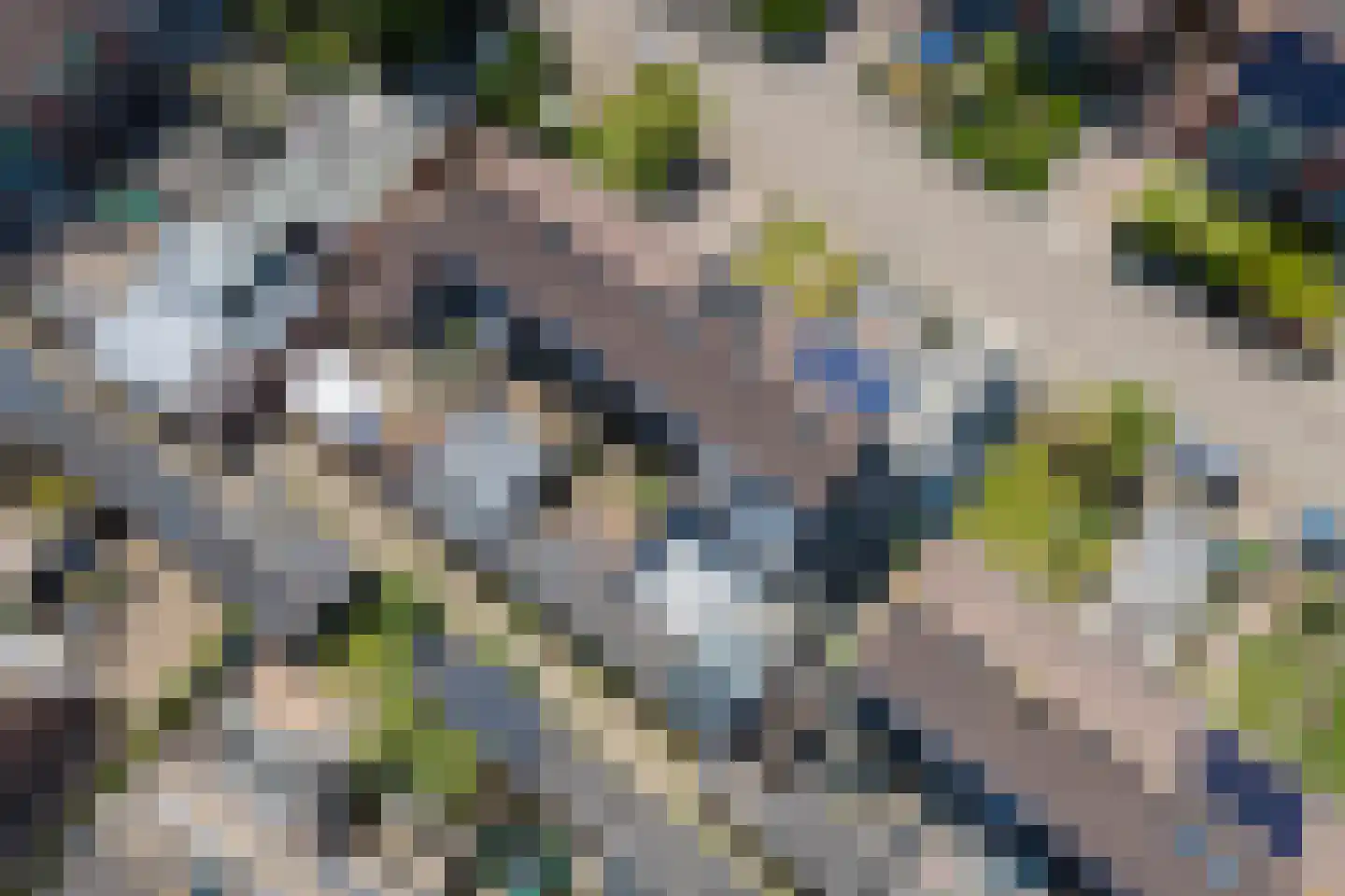 Sportveldstraat 8 Beusichem thumbnail 37