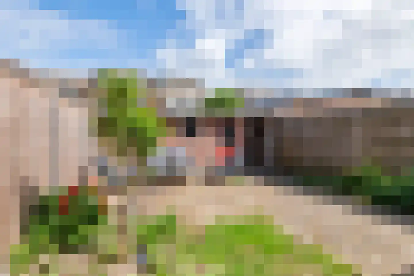 Sportveldstraat 8 Beusichem thumbnail 4