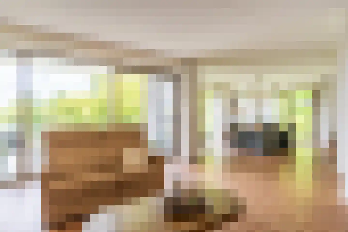 Sportveldweg 3 R Nieuw-Vennep thumbnail 17