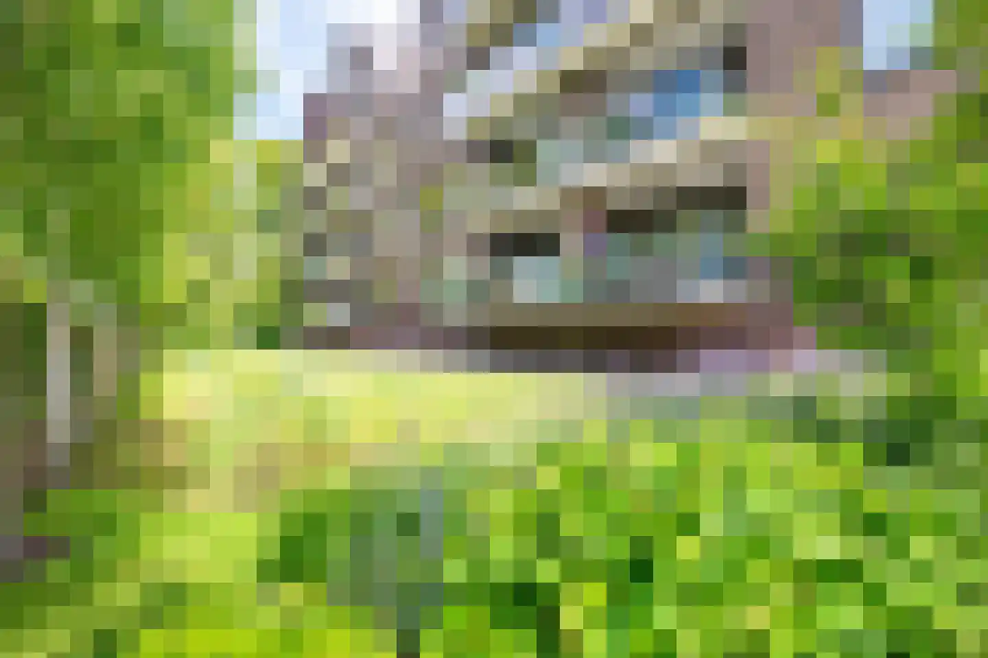 Sportveldweg 3 R Nieuw-Vennep thumbnail 7