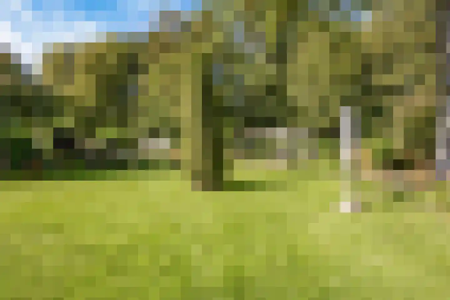 Sportveldweg 37 Nieuw-Vennep thumbnail 12