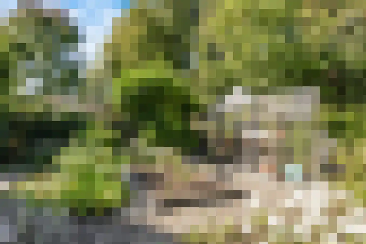 Sportveldweg 37 Nieuw-Vennep thumbnail 56