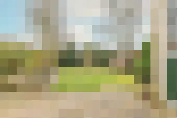 Sportveldweg 64 Nieuw-Vennep thumbnail 18