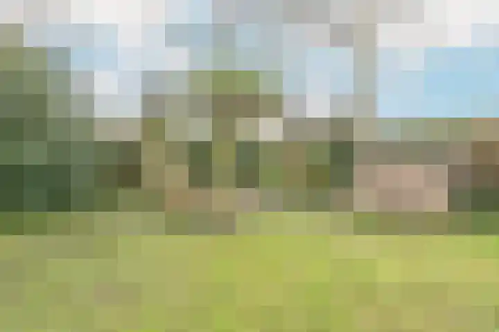 Sportveldweg 64 Nieuw-Vennep thumbnail 19