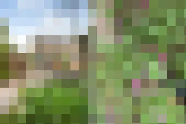 Sportveldweg 80 Nieuw-Vennep thumbnail 13