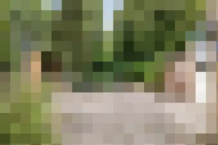 Sportveldweg 80 Nieuw-Vennep thumbnail 32