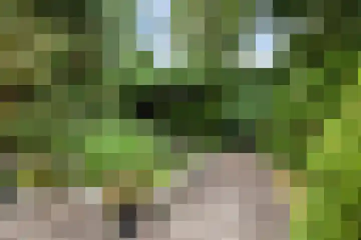 Sportveldweg 80 Nieuw-Vennep thumbnail 33