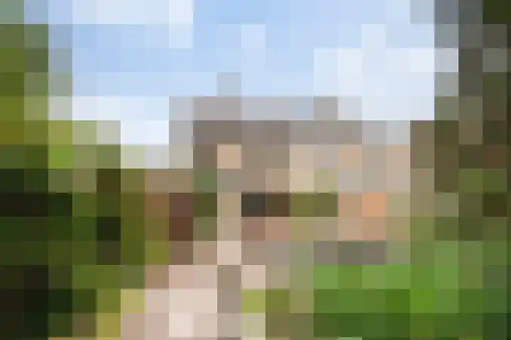 Sportveldweg 80 Nieuw-Vennep thumbnail 4
