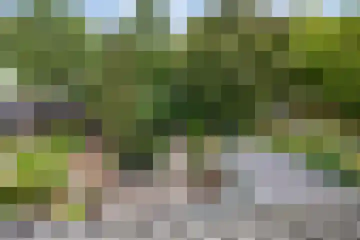 Sportveldweg 80 Nieuw-Vennep thumbnail 5