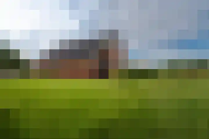 Sportweg 10 Bellingwolde thumbnail 15