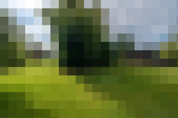 Sportweg 10 Bellingwolde thumbnail 16