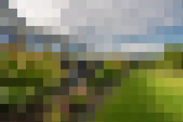Sportweg 10 Bellingwolde thumbnail 19
