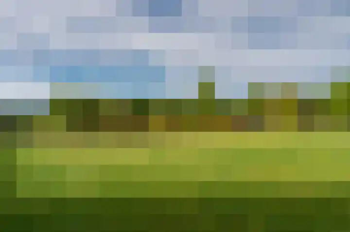 Sportweg 10 Bellingwolde thumbnail 20