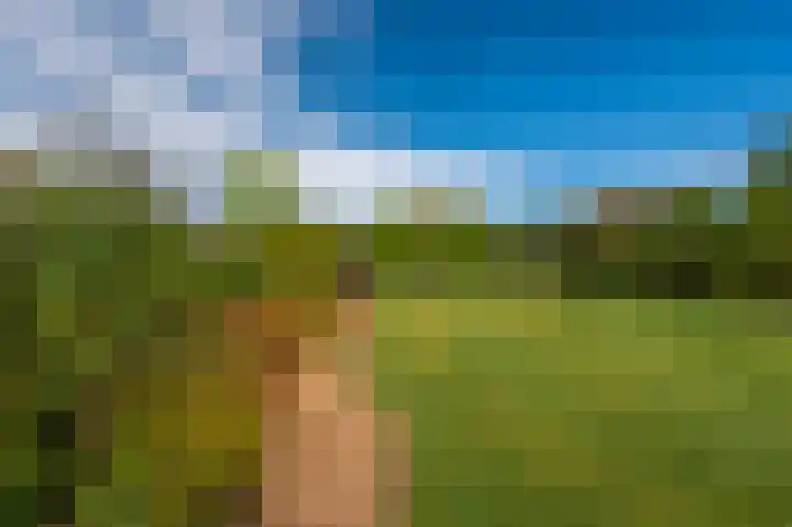 Sportweg 10 Bellingwolde thumbnail 23