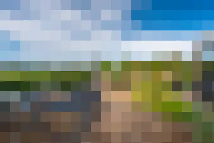 Sportweg 10 Bellingwolde thumbnail 25