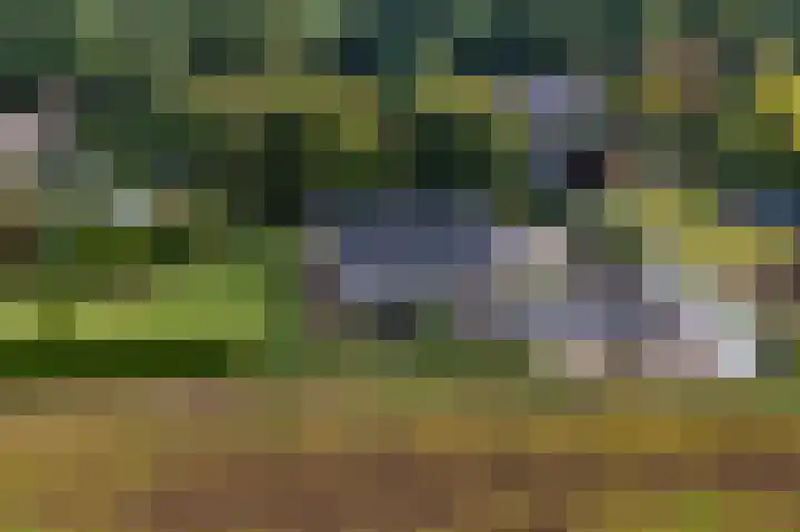 Sportweg 10 Bellingwolde thumbnail 4