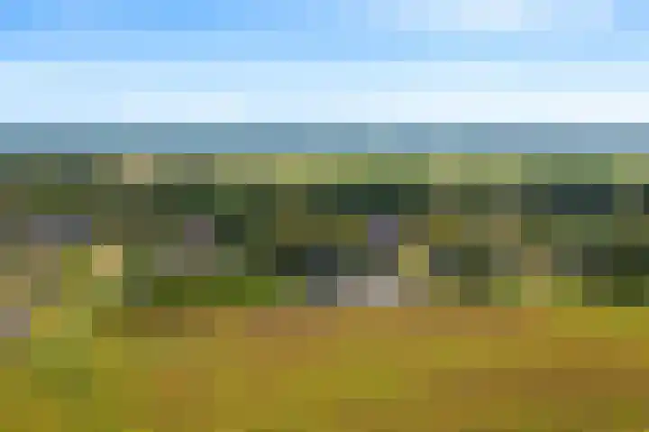 Sportweg 10 Bellingwolde thumbnail 5
