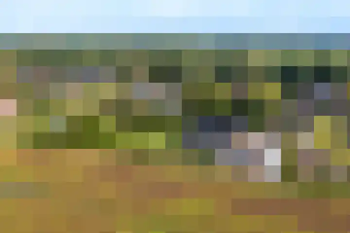 Sportweg 10 Bellingwolde thumbnail 6