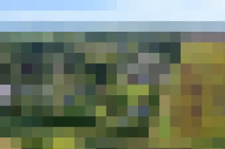 Sportweg 10 Bellingwolde thumbnail 7