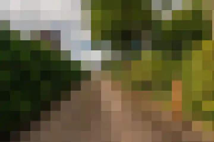 Sportweg 10 Bellingwolde thumbnail 8
