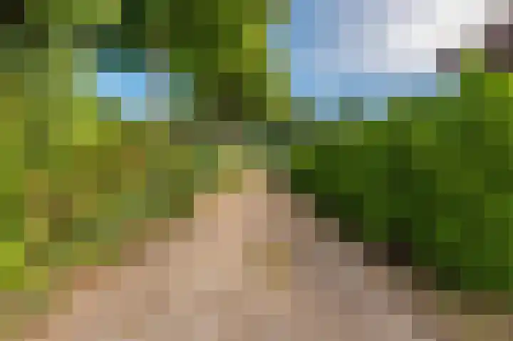 Sportweg 10 Bellingwolde thumbnail 9