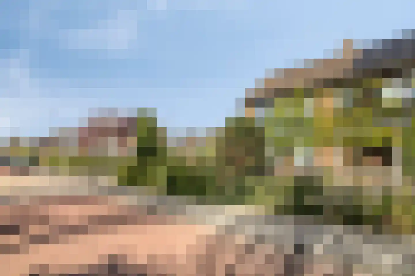 Sportweg 16 Hoevelaken thumbnail 9