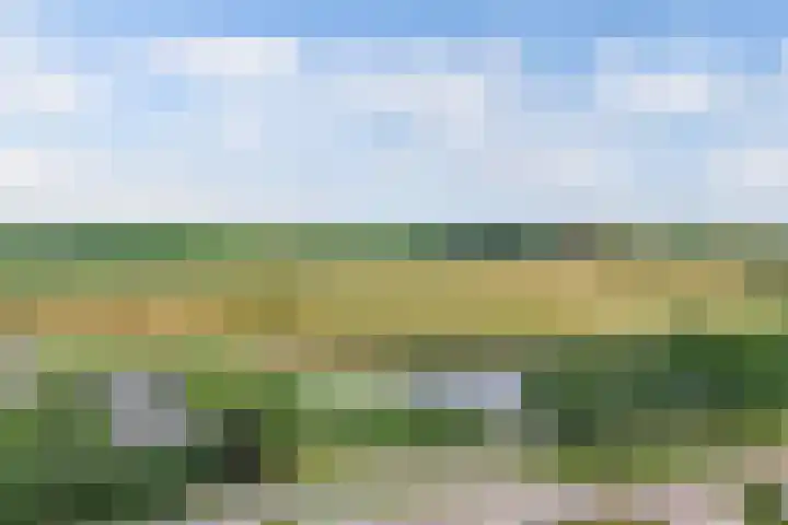 Sportweg 2 F Ens thumbnail 10
