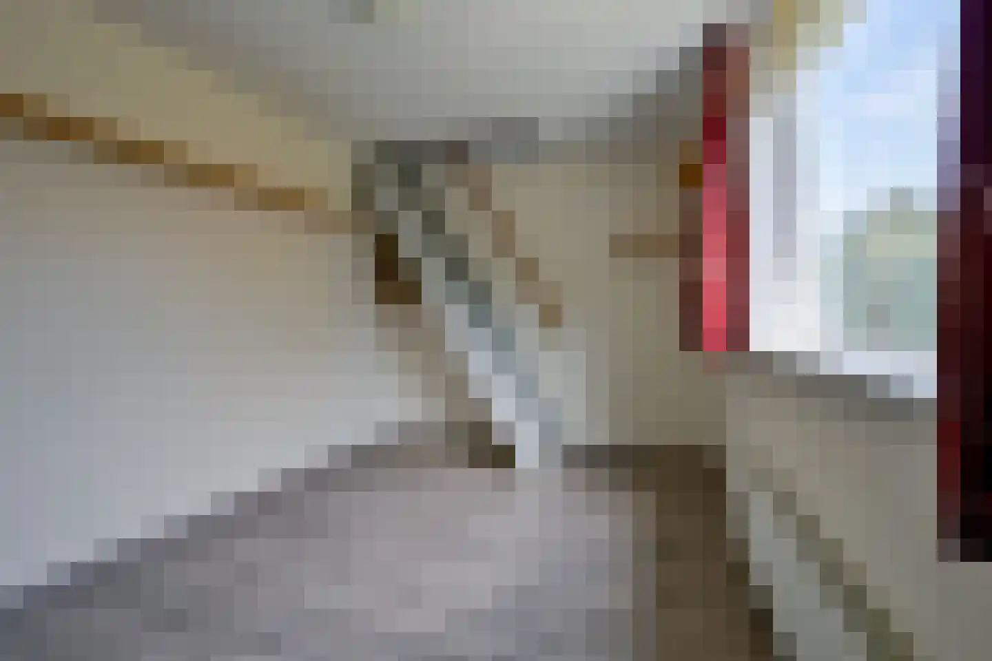 Sportweg 27 Middenmeer thumbnail 18