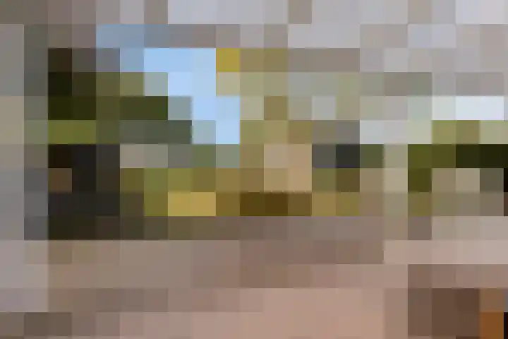 Sportweg 34 Bellingwolde thumbnail 31