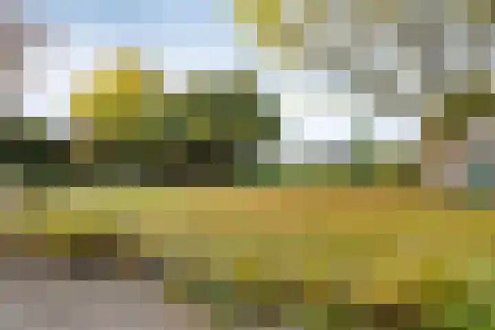 Sportweg 34 Bellingwolde thumbnail 32