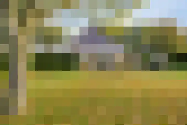 Sportweg 34 Bellingwolde thumbnail 33