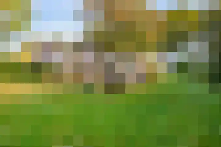 Sportweg 34 Bellingwolde thumbnail 34