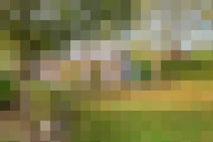 Sportweg 34 Bellingwolde thumbnail 35
