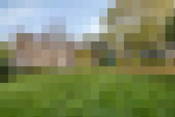 Sportweg 34 Bellingwolde thumbnail 36
