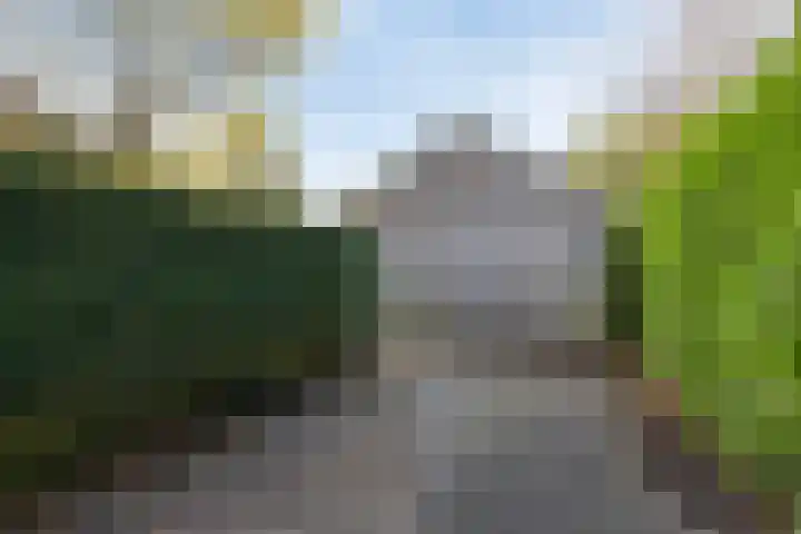 Sportweg 34 Bellingwolde thumbnail 37