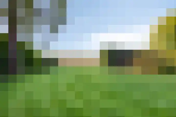 Sportweg 34 Bellingwolde thumbnail 39