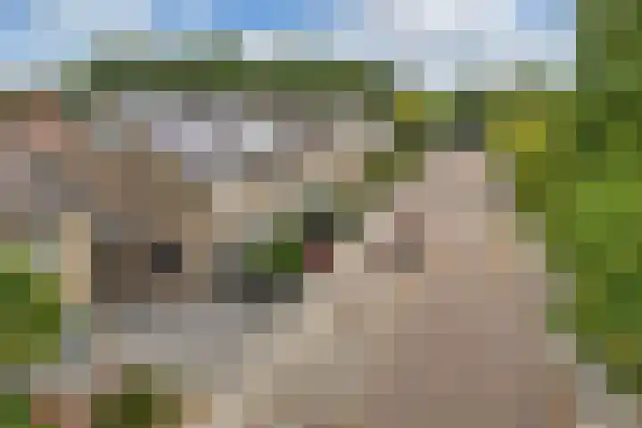 Sportweg 55 Ens thumbnail 13