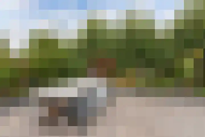 Sportweg 55 Ens thumbnail 45