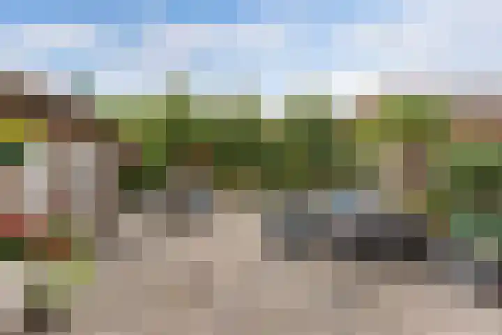 Sportweg 55 Ens thumbnail 50