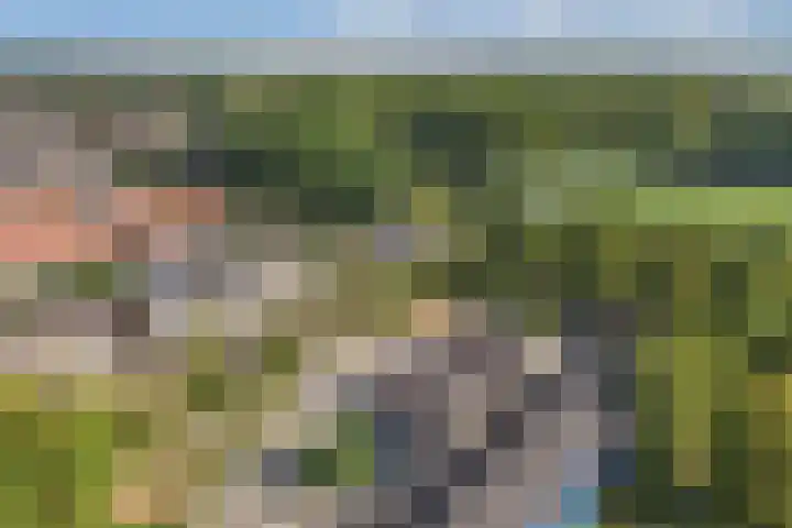 Sportweg 65 Ens thumbnail 14