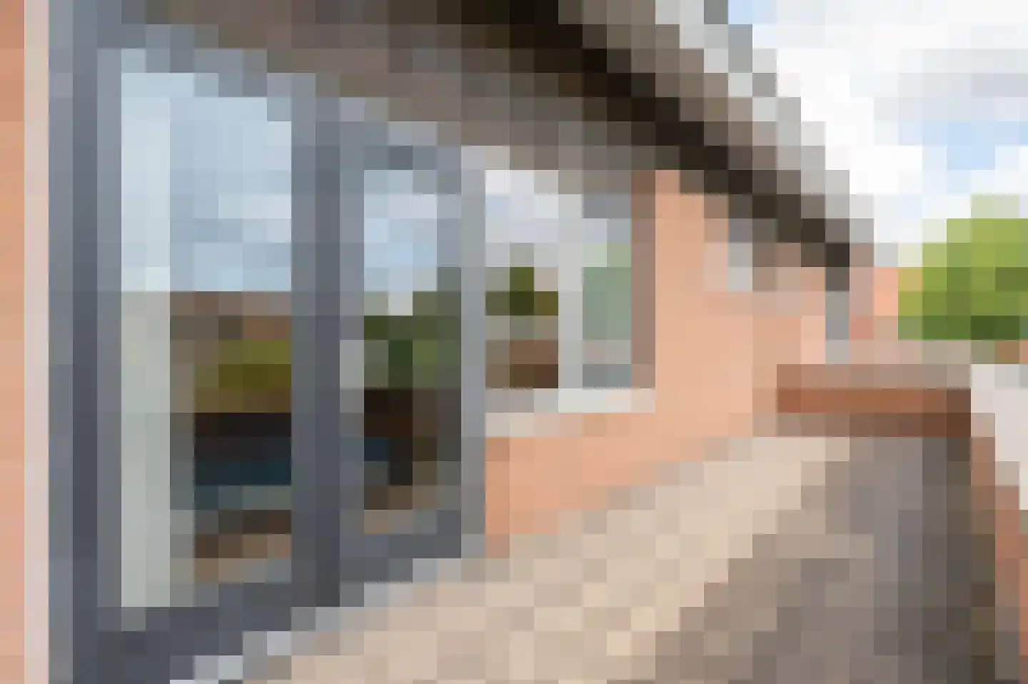 Spotvogel 3 Zeewolde thumbnail 26