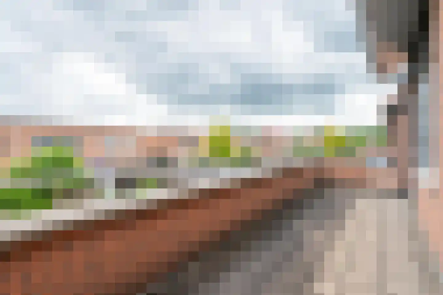 Spotvogel 3 Zeewolde thumbnail 27
