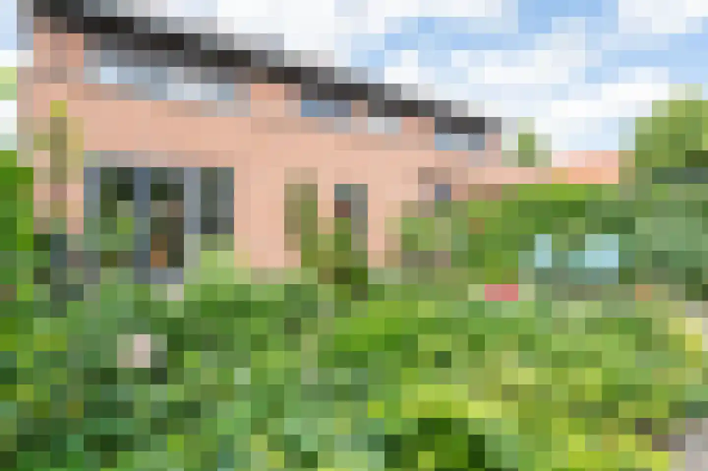 Spotvogel 3 Zeewolde thumbnail 36
