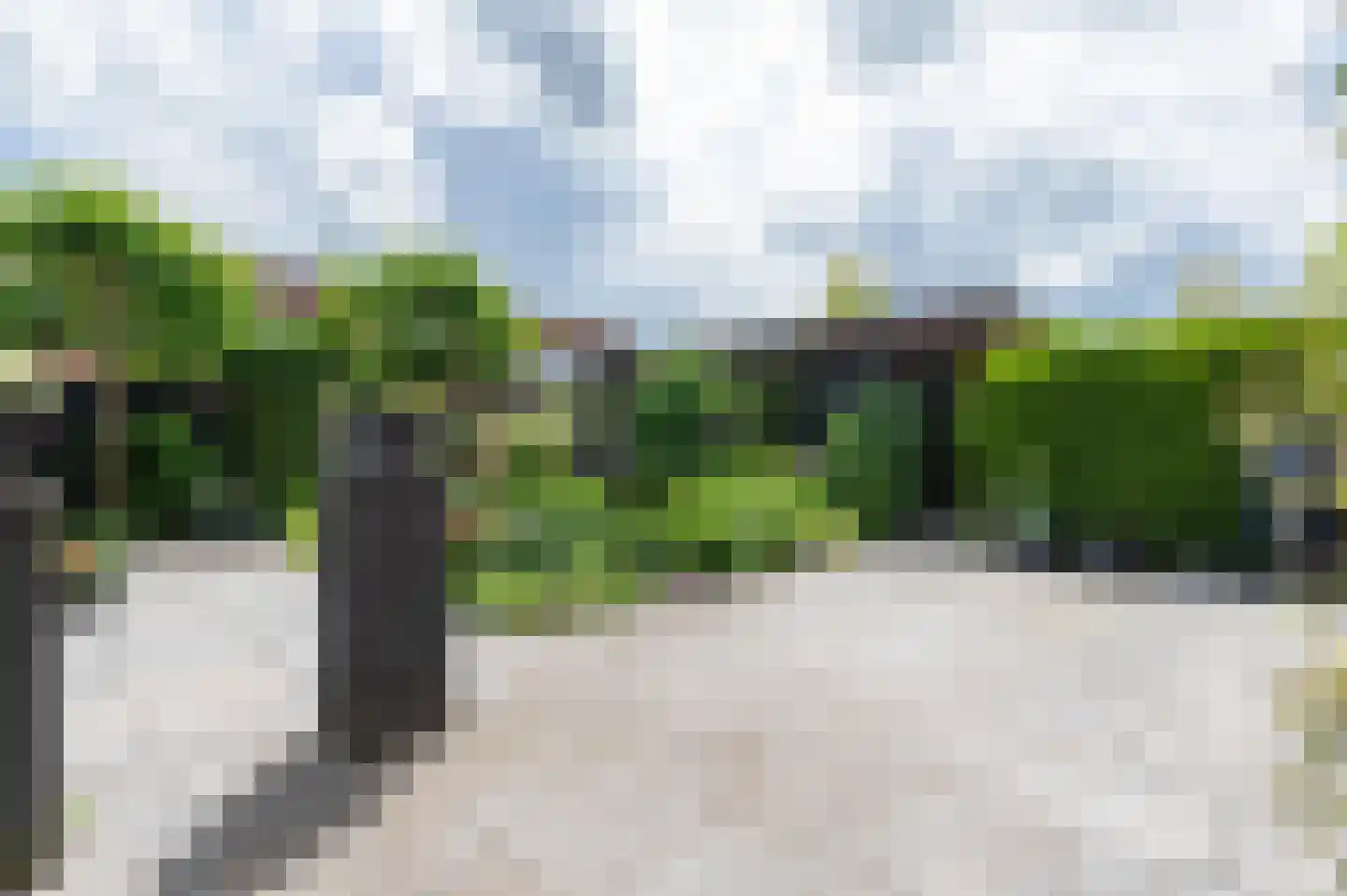 Spotvogel 3 Zeewolde thumbnail 37