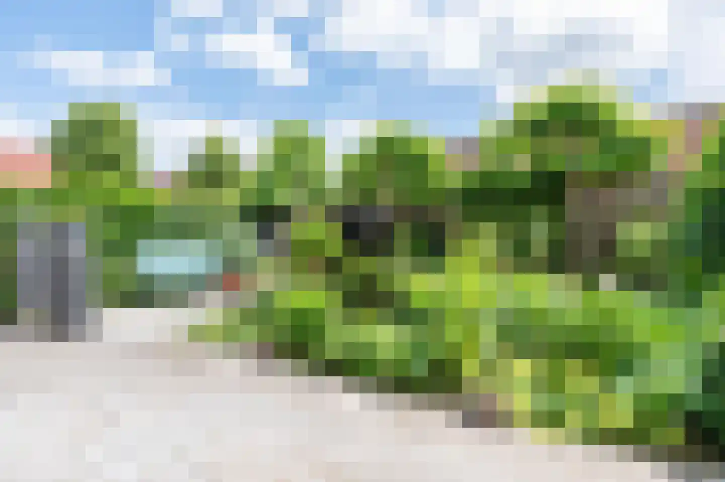 Spotvogel 3 Zeewolde thumbnail 38