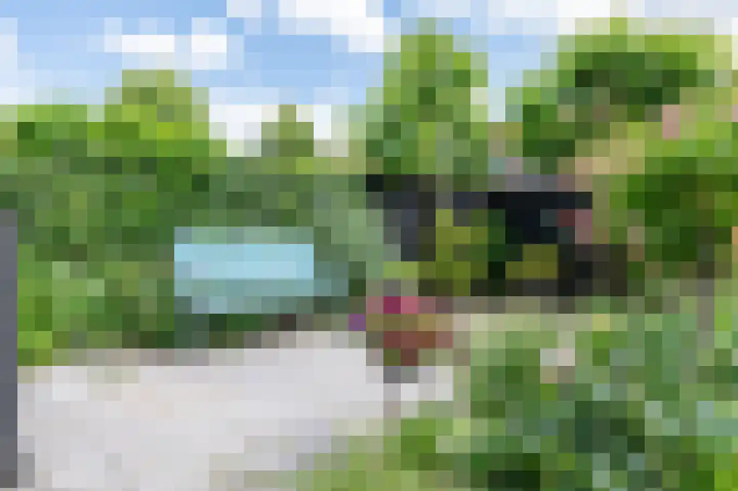 Spotvogel 3 Zeewolde thumbnail 39