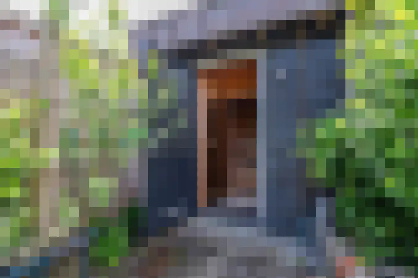 Spotvogel 3 Zeewolde thumbnail 40